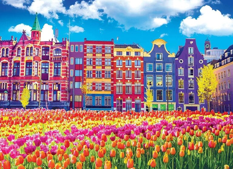 Colorful buildings behind a field of tulips under a bright blue sky